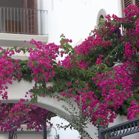 Szálloda Acquacalda Lipari